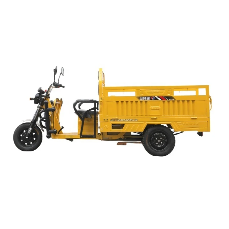 Stainless Steel Electric Cargo Tricycles 3 Wheel Motorcycles Cheap Price Electric Off Road Adult Tricycle on Sale