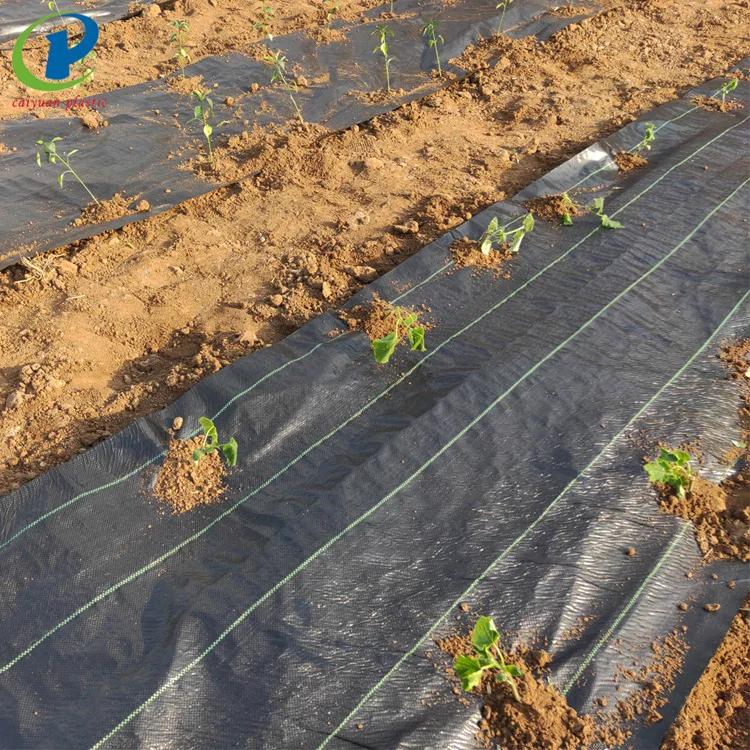 Agricultural Plastic Woven Mulch Weedmat / Weed Control Mat