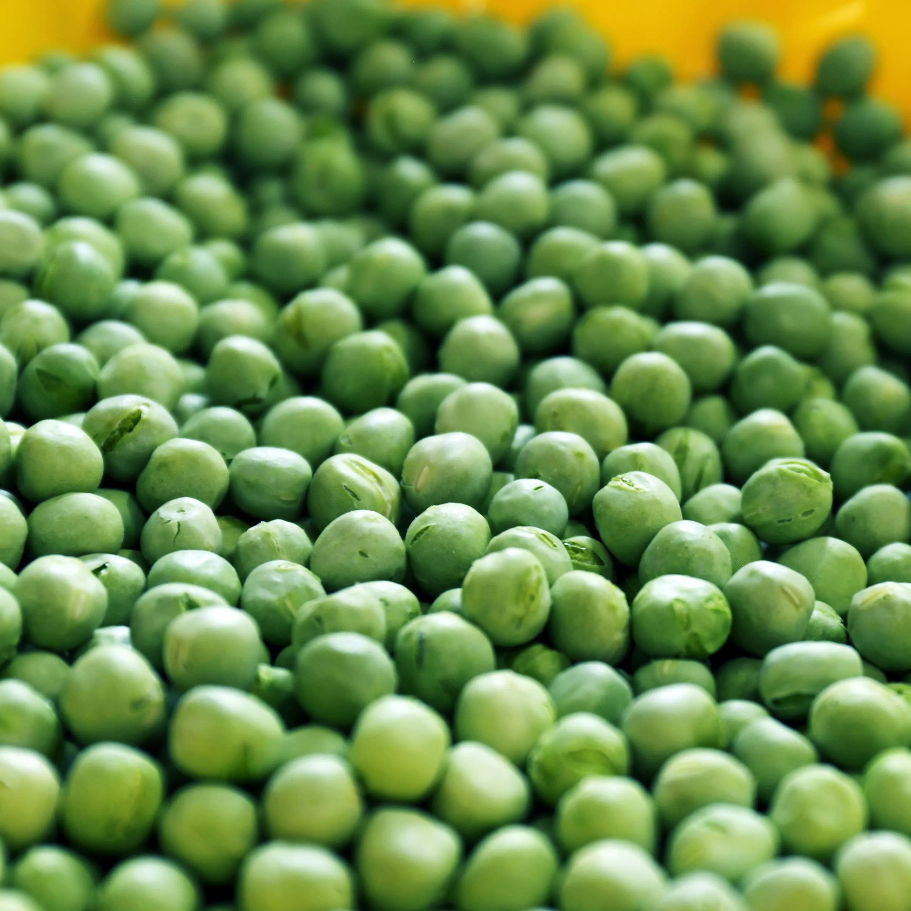 Pure Natural Freeze Dry Food Frozen Vegetables Freeze Dried Green Peas