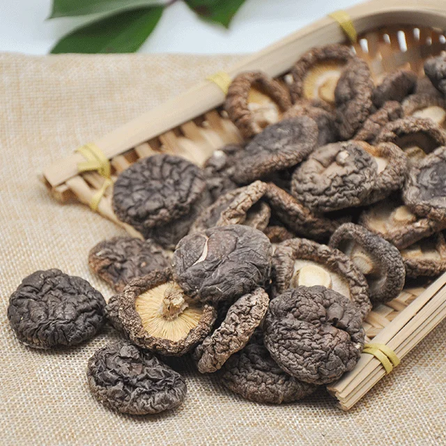 Сухой гриб Shiitake экспорт сухие грибы обезвоженная