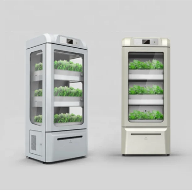 hobby greenhouse in falimy growing