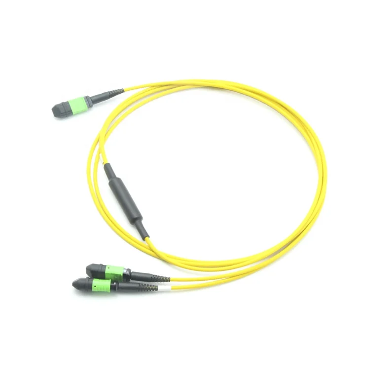 
Single mode OS2 24 Fiber MPO(female) to 2x 12 Fiber MPO(female) Trunk Cable Patch Cord Polarity B 2M 