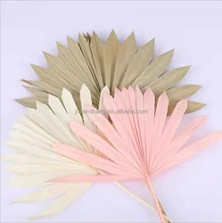 Wholesale dried flowers plam leaves palm poufs spears dried peony flowers dried bouquet of flowers mix