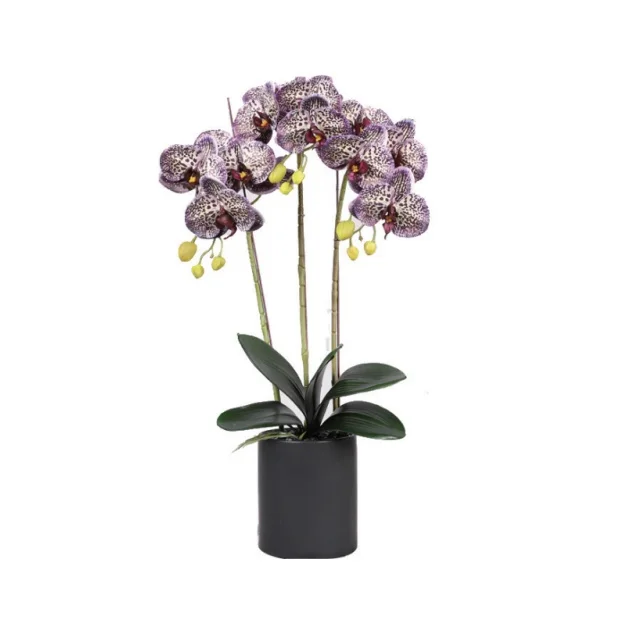 New Design Flowers Artificial Orchid Artificial Butterfly Orchid With Black Pot