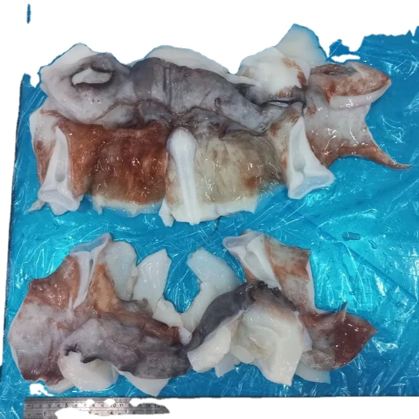 New Season BQF Seafrozen Jigger Caught Giant Squid Neck