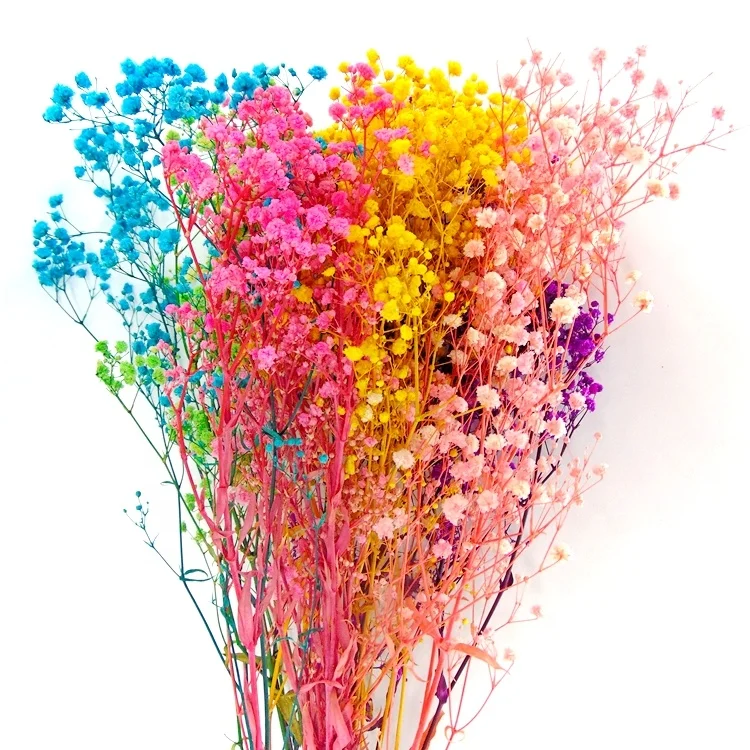Factory  preserved gypsophila preserved flower bouquet preserved flowers and plants  dried lavender flowers