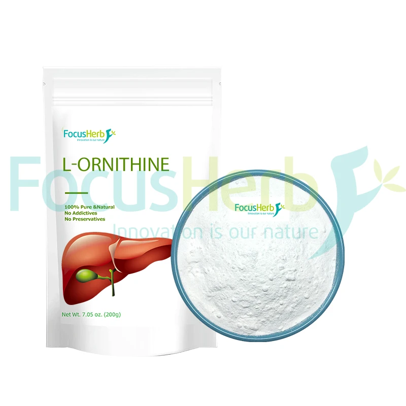FocusHerb CAS 70-26-8 L-Ornithine Powder 99% L-Ornithine