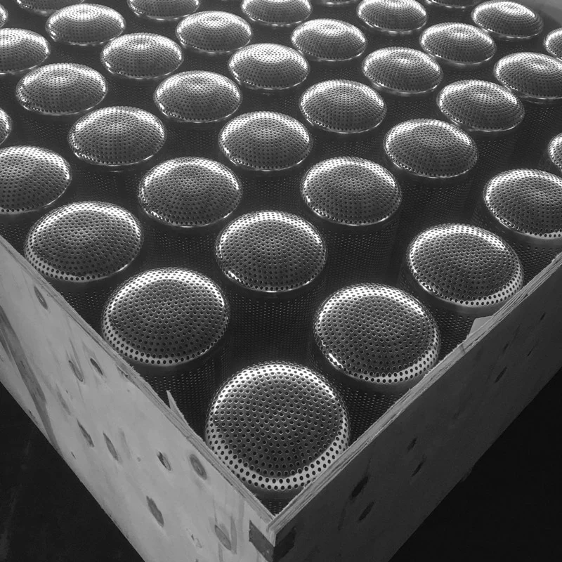 Stainless Steel Perforated Metal Mesh Basket Strainer for Filter Housing