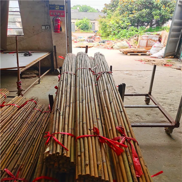 plastic coated bamboo pole for support or you want