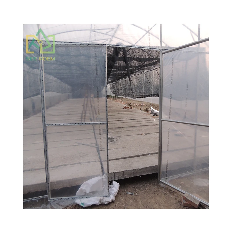 customized Hot Selling Single Span Solar Pe Film Covering Greenhouse Israel For Agriculture Low Cost Tunnel