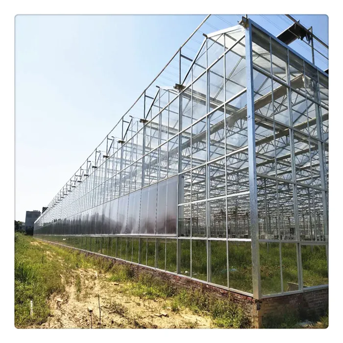 Hot Sale Galvanized Steel Frame Multi Span Venlo Glass Greenhouse