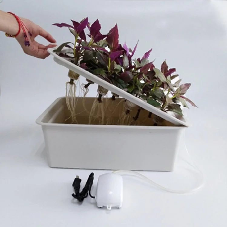  Small Hydroponic Systems Box 6/11/24 Holes Vegetable Soilless Cultivation Indoor Plant Seedling Growing