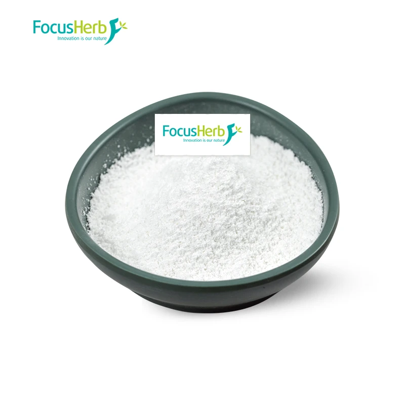 
FocusHerb Astragalus Membranaceus Extract 90% Cycloastragenol Powder 