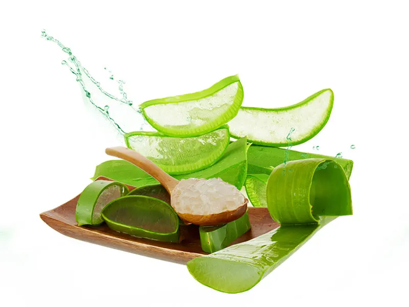 500ml Aloe Vera Juice not From Concentrate Good Price Best Price For Export Taste Delicious OEM Service Hot Selling