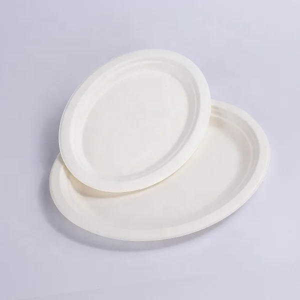 Biodegradable tableware sugarcane bagasse 10inch round plate