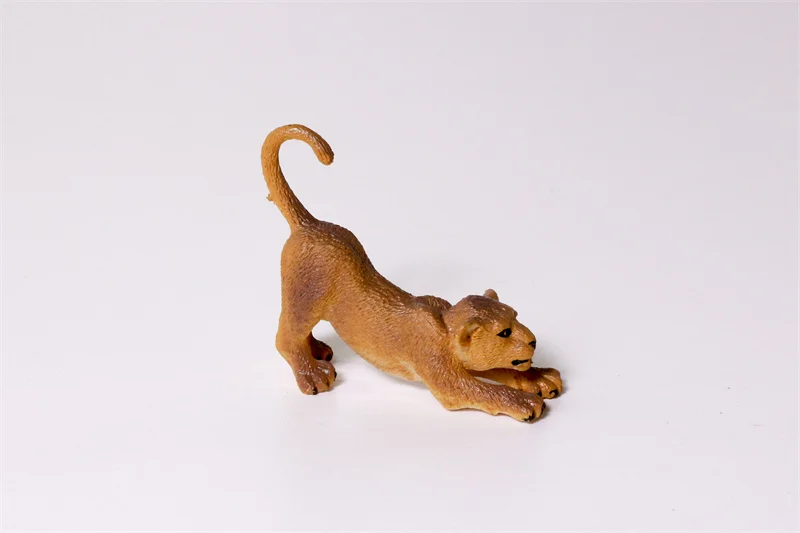 YX  Animal (2)