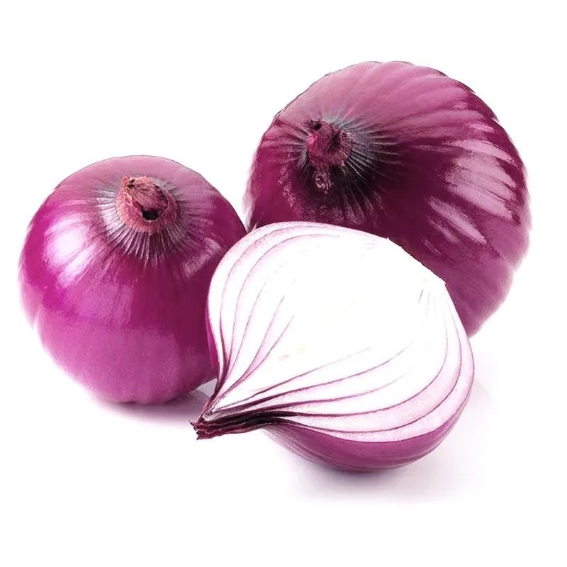 
wholesale onions by onion suppliers on red onion price 