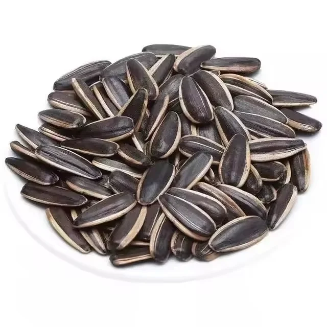 Roasted Sunflower Seeds  Mouth Friendly Recipe for All Day Snacking Chinese Factory In Bulk