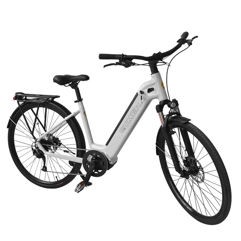 48V 350W Mid Mounted Motor Electric Scooter Electric City Bike For Adult