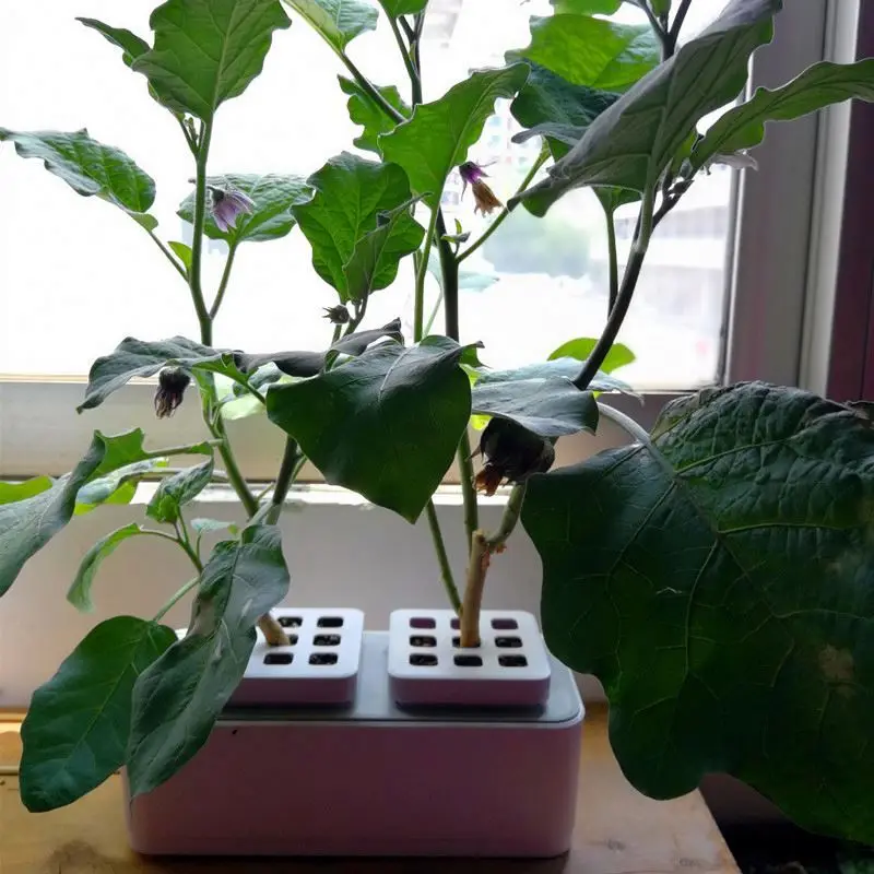 Factory outlet smart home outdoor garden aeroponics hydroponic system equipment