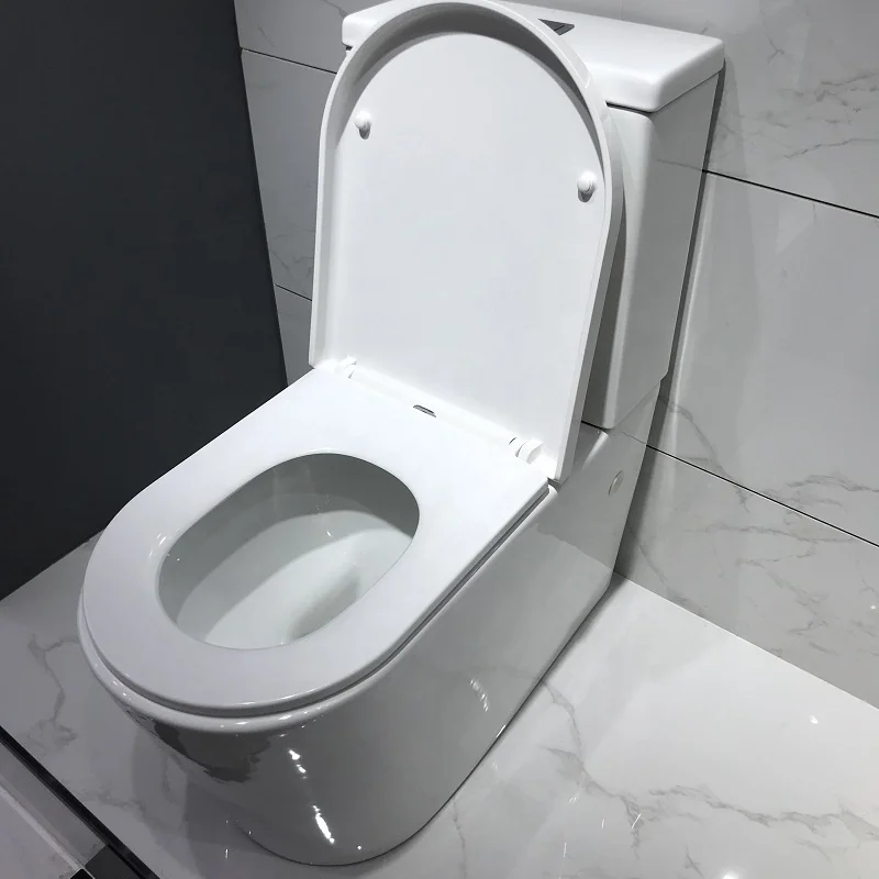 ANBI High Quality The Sanitary Toilet Rimless Sanitary WC Back To Wall P Trap Two Piece Toilet