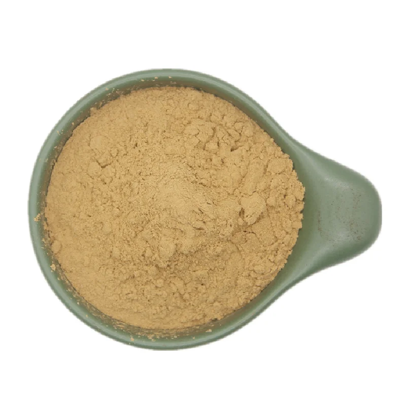 GMP Kosher Natural Gynostemma Pentaphyllum Extract 80% 98% Gypenoside