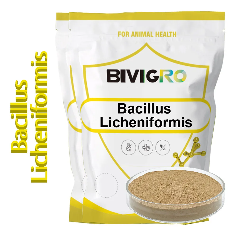 Manufacture Feed Probiotics Bacillus Subtilis/ Bacillus Licheniformis For Poultry/ Cattle Feed