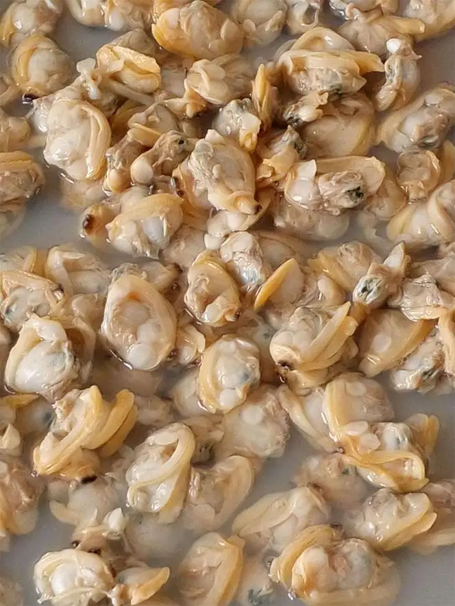 Frozen Clam Meat Short Necked Yellow IQF/BQF Seafood Fish Cooked Boiled Clean For Thailand Malaysia Vietnam Market