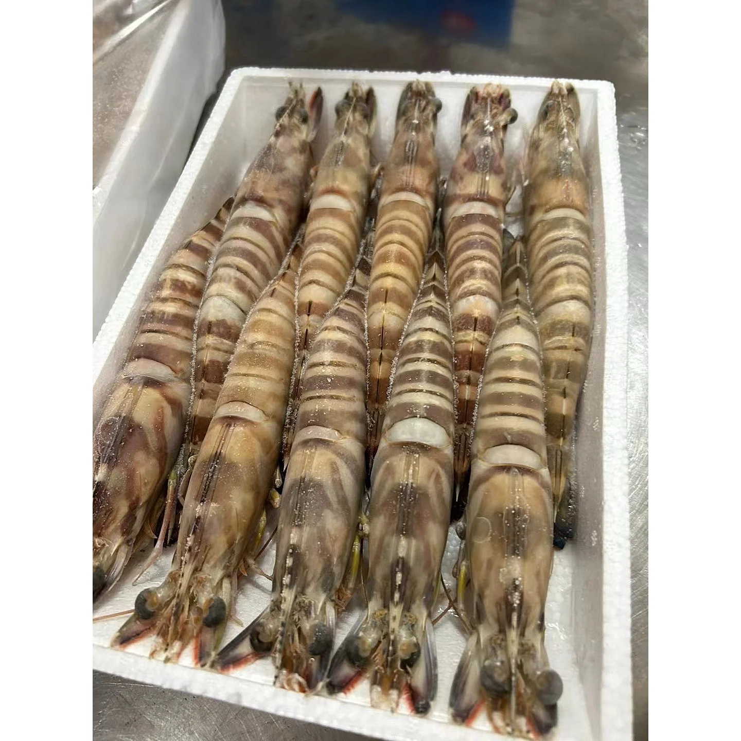 High Quality Frozen Natural Black Tiger Shrimp Frozen Shrimp For Market