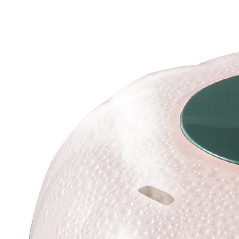 Mini Chicken Egg Boiler Double Layer Fast Speed Heat Multifunction Food Electric Egg Cooker 360W Egg Boiler