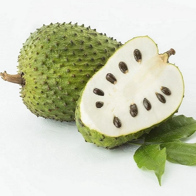 
Fresh Soursop Fruit from Vietnam 