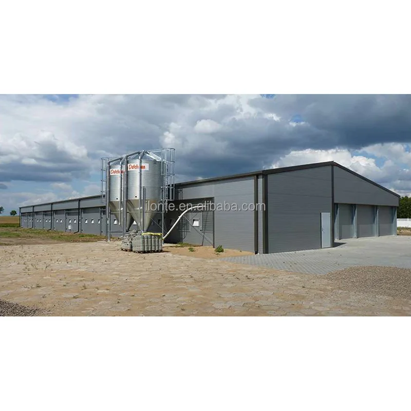 Manufacturer Prefabricated Steel Structure Galvanized Chicken House for 10000 Chickens