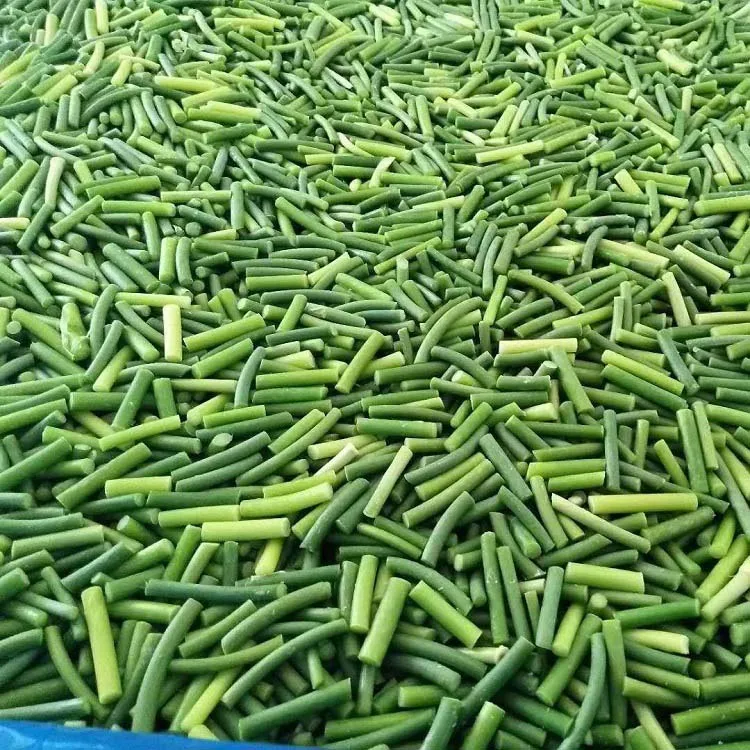 Chinese professional manufacturer frozen garlic Sprouts
