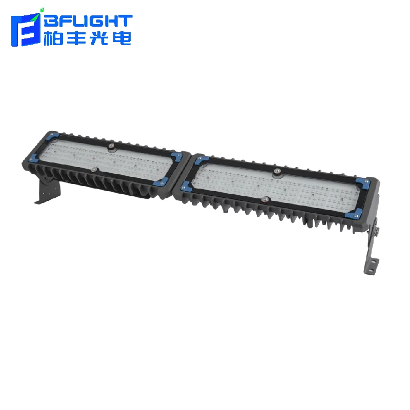 50W 100W 150W 200W 250W 300W Tunnel Light Waterproof LED
