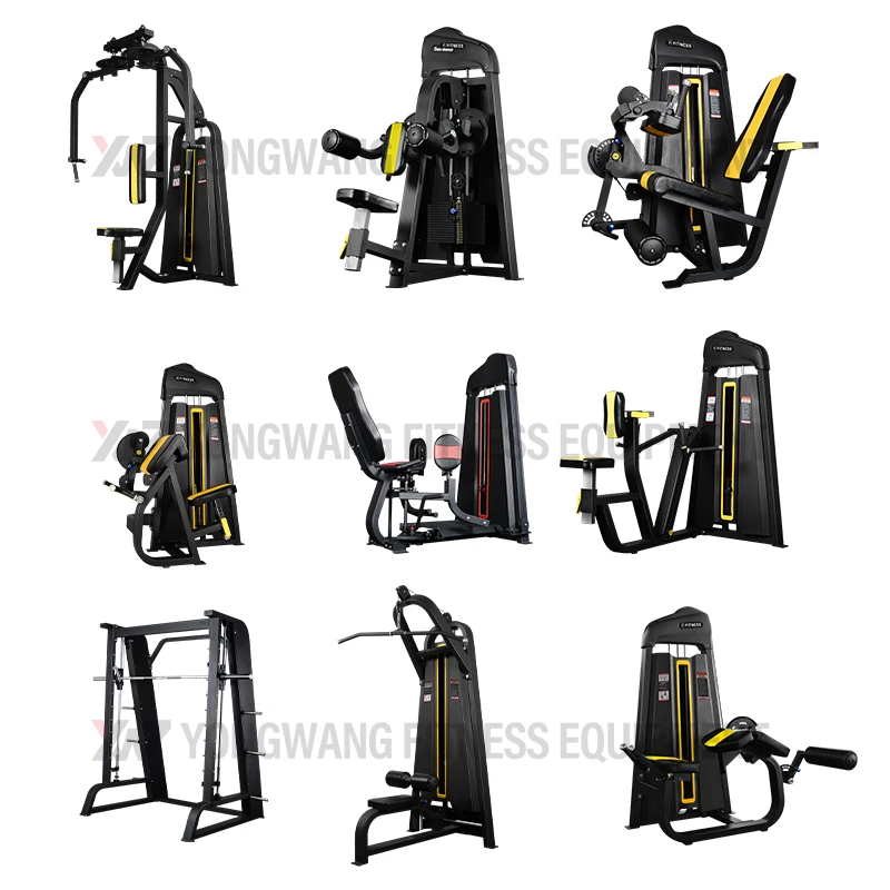 Strength Body Building Machine Gym Fitness Equipment For Sale