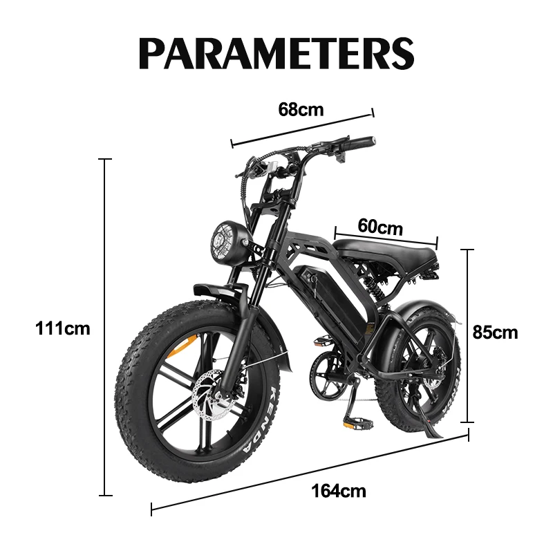 EU NL Stock V20 Electric Fatbike 20inch 250W 500W Netherlands Electric City Bike 750W Retro Hydraulic Brake Road E-Bike Holland