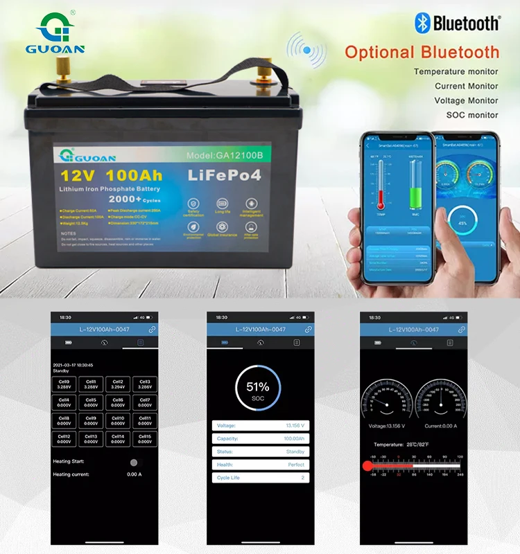 12v 24V  100ah 120ah 150ah 200ah 300ah Lifepo4 BMS Lithium Battery Pack