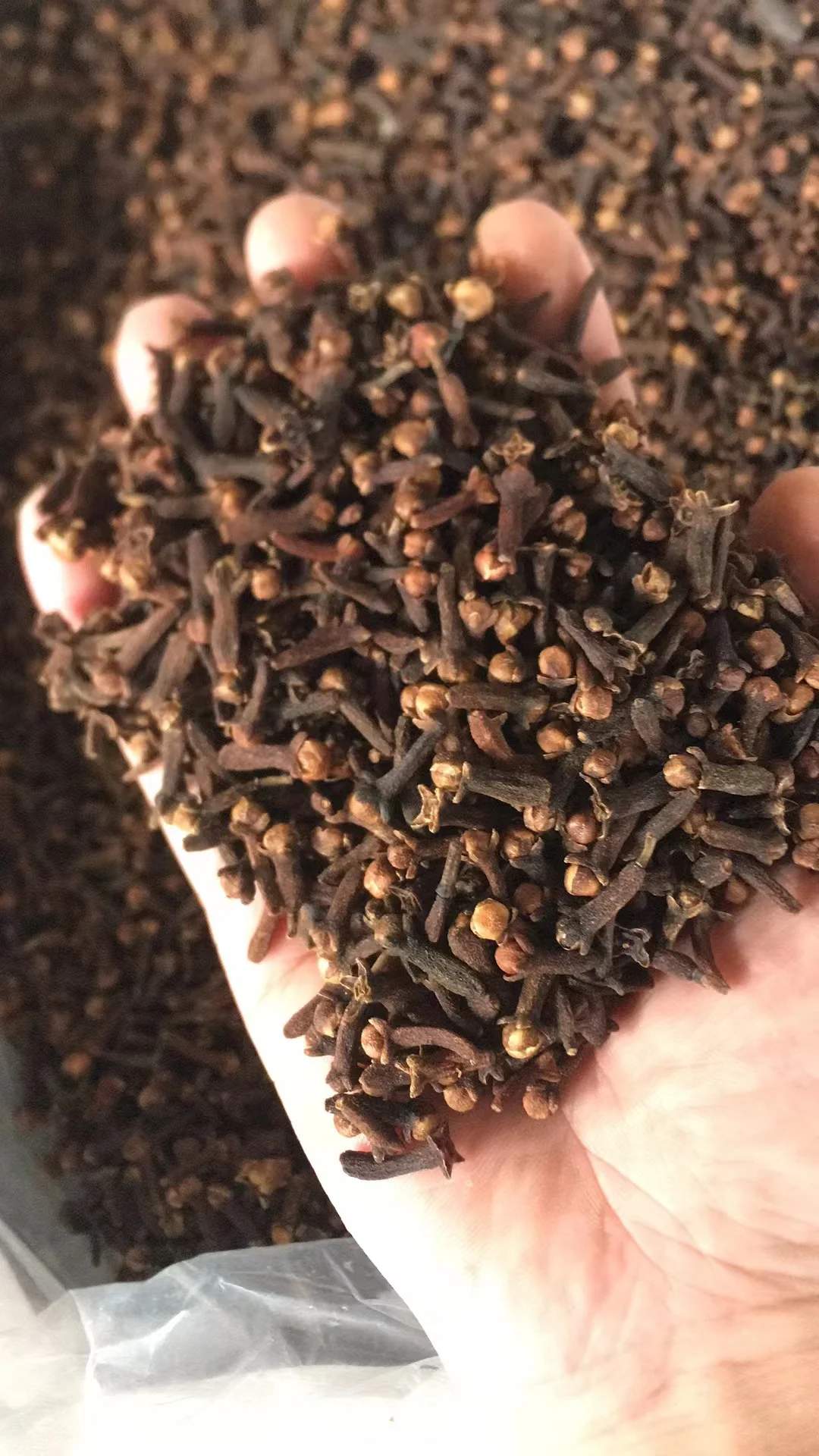 Hot Selling High Quality Exported Ceylon Cloves Seed Bulk Spices Herb Dried Spicy Whole Cloves Raw Spices Direct from Source