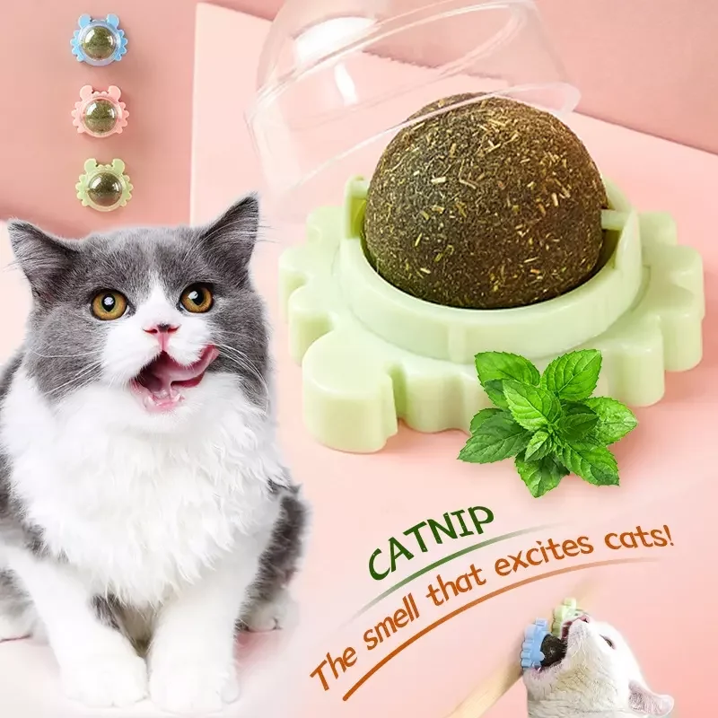 Contain catnip snack lollipop cat toys interactive ball catnip sucker wall ball cat toy with catnip mint