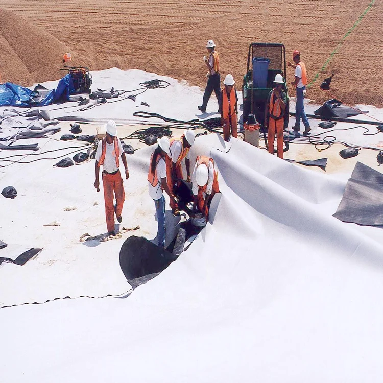 High Strength Road Construction PP Pet Coir Geotextile Fabric Non Woven for Slope Protection