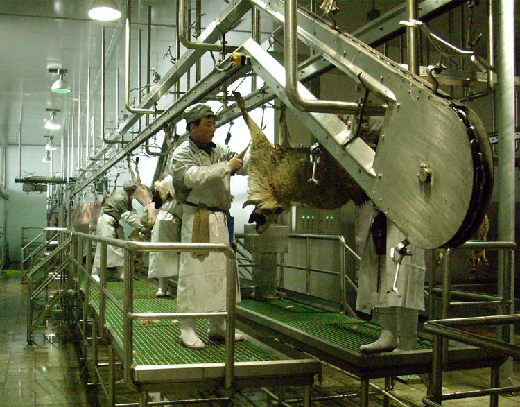 halal_goat_abattoir_with_lamb_slaughter_house_meat_process_butchery_system_equipment