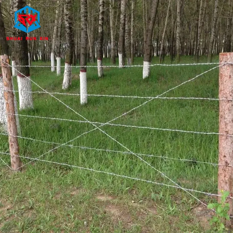 Shuairunxin Galvanized Twisted Barbed Wire Fence Wire for Security Alambre De Pua to Brazil for Farm and Sport Fencing and Wall
