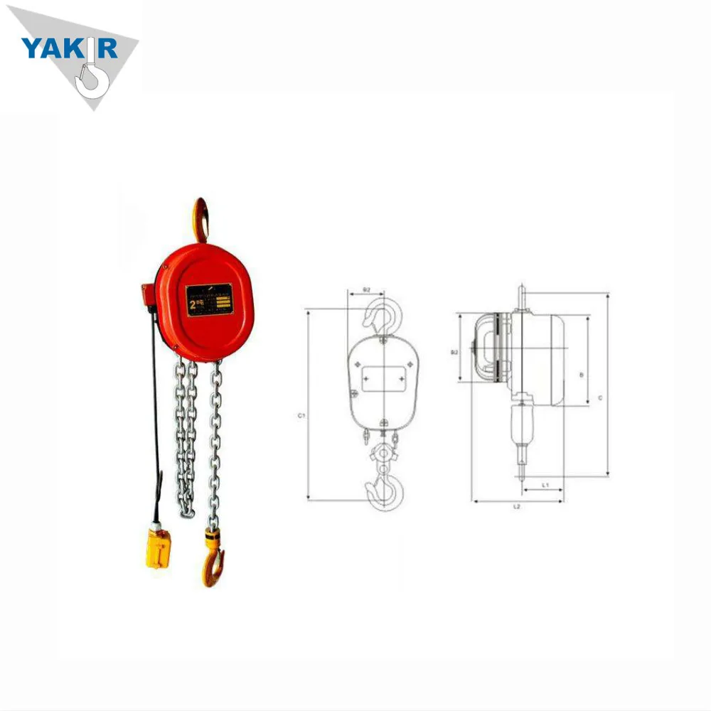 Good Quality Cheap Price 3T 6M DHS Type Electric Chain Hoist
