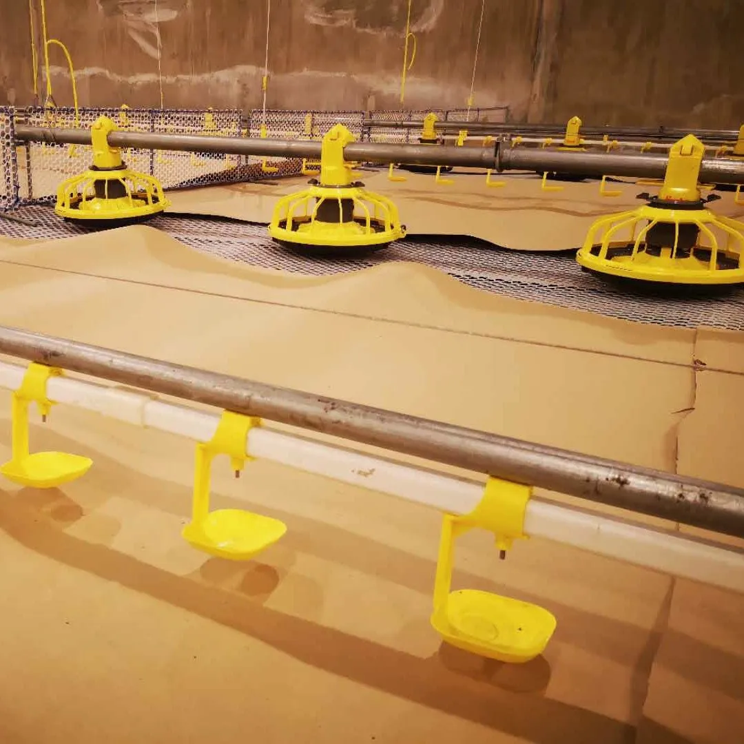 Другое оборудование для разведения животных, автоматическое оборудование для Филиппин для птицеводства, линия корма для цыплят в Пакистане