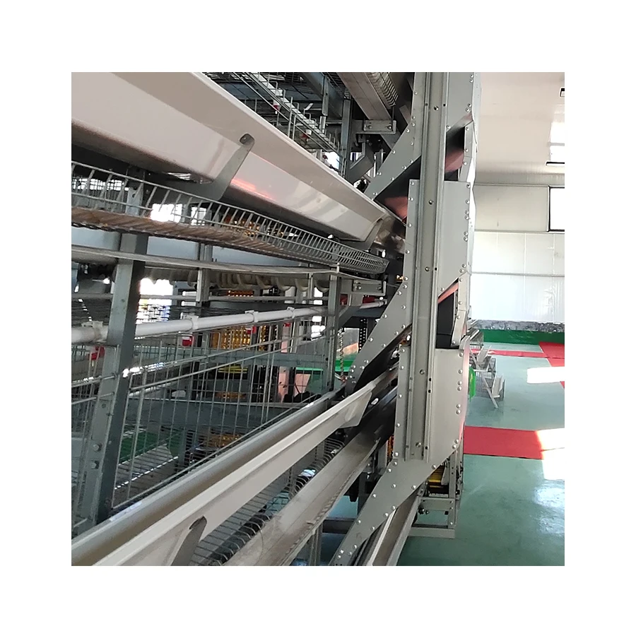 Strong and durable broiler cage, high technology content design comfortable large chicken cage. The most popular chicken coop