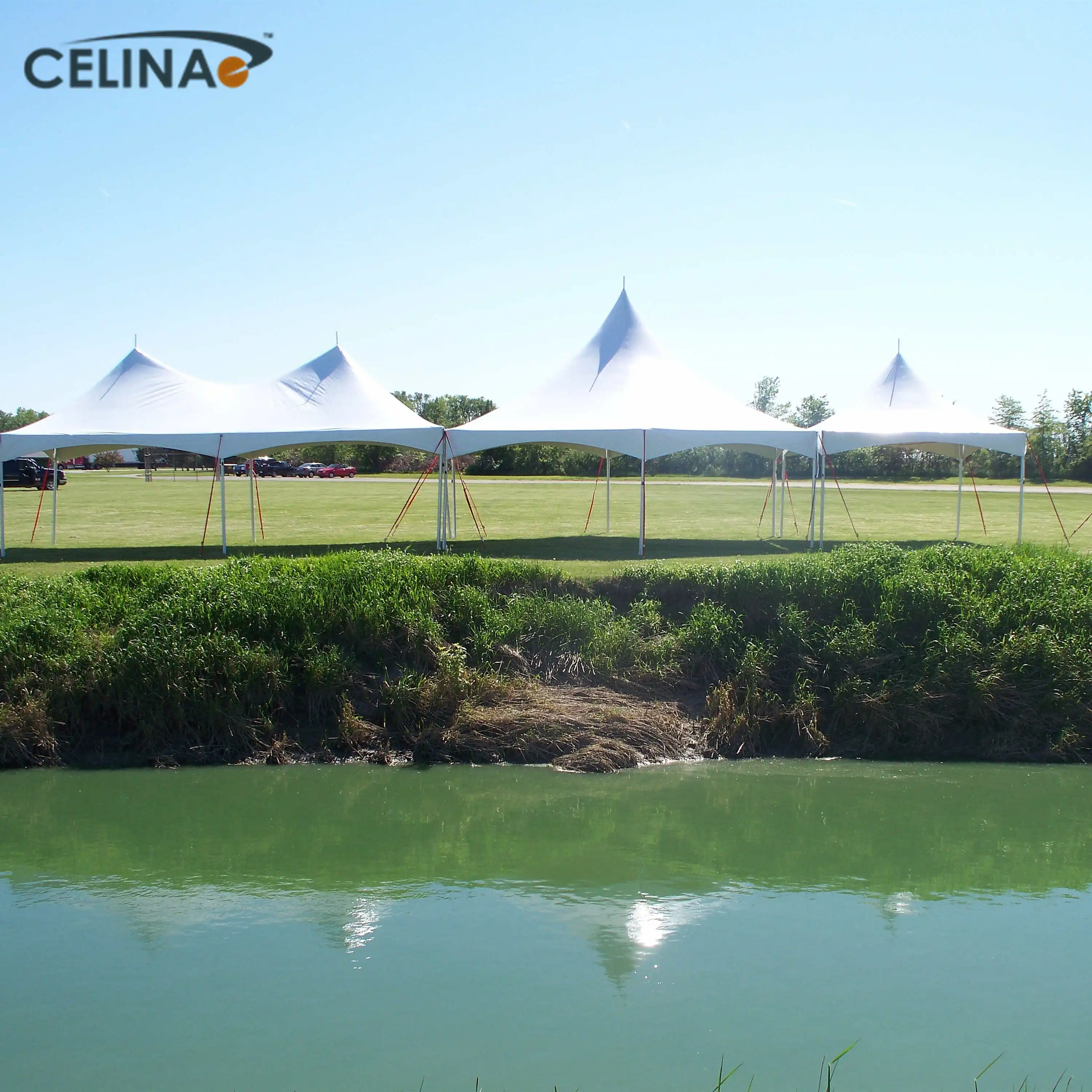 Celina 10X20  comercial party luxury high quality heavy duty canopy tent