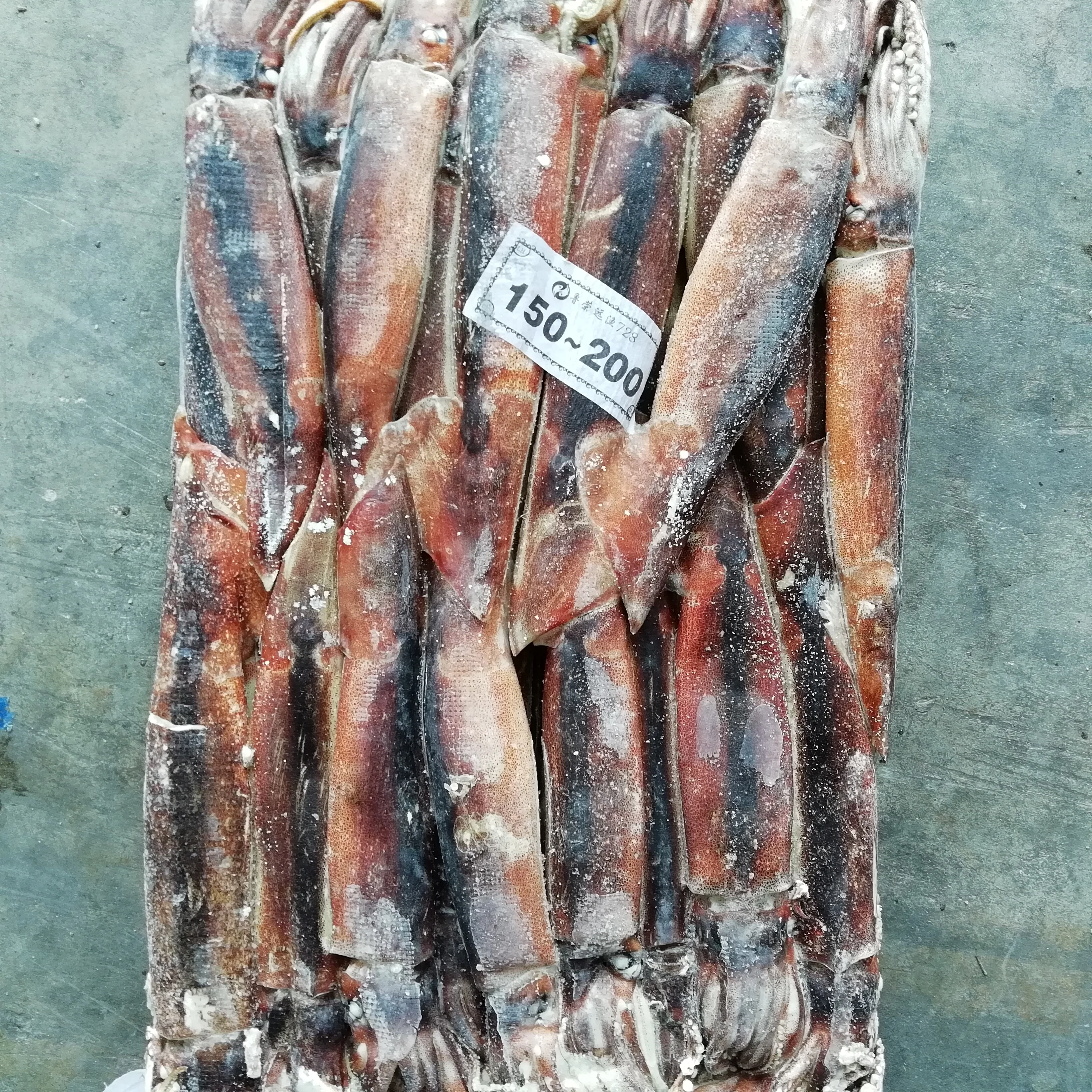 Морепродукты, замороженный кальмар Illex для приманки тунца