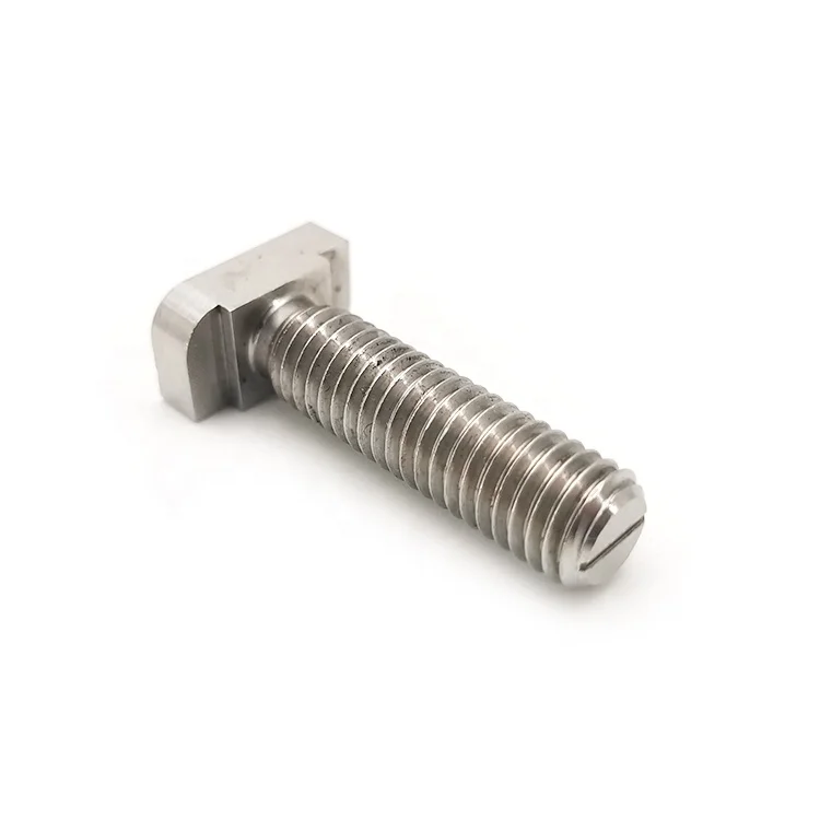 China Factory Custom Stainless Steel 304 Hammer Screw Turning T Head Bolt for Cars