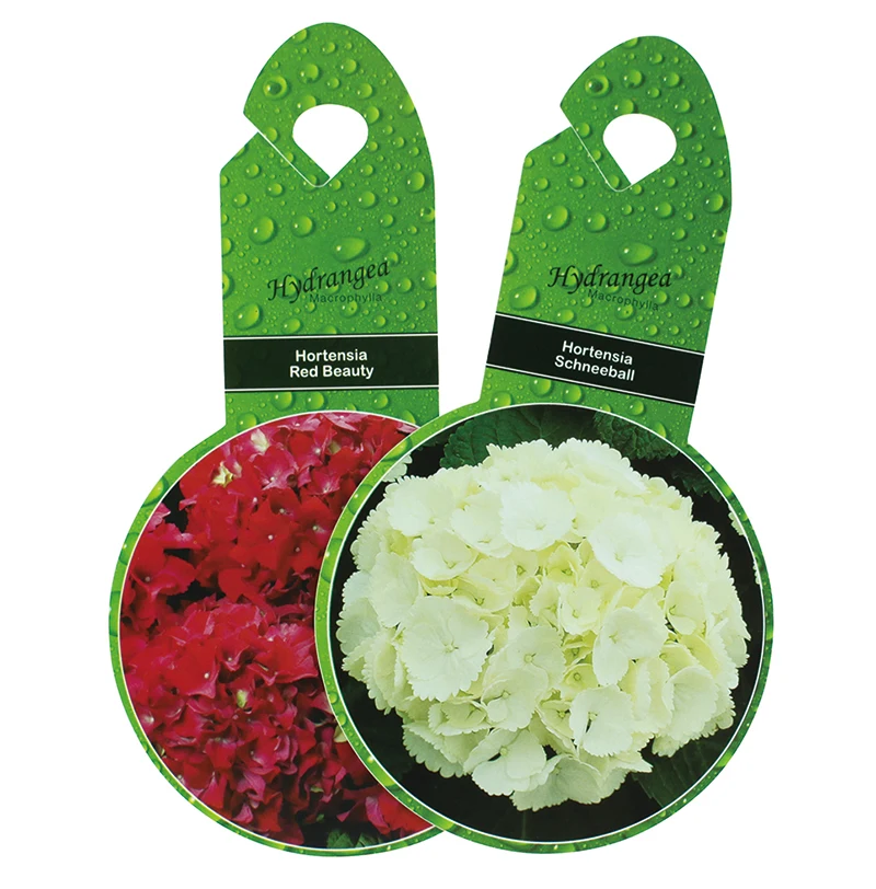 Plastic Plant Tag Seed Name Hanging Tag