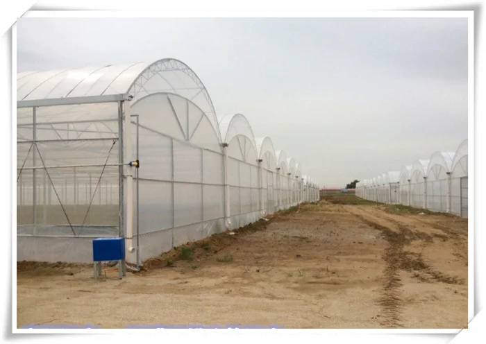 High Quality Tropical Multi Span Agriculture Greenhouse for Vegetable